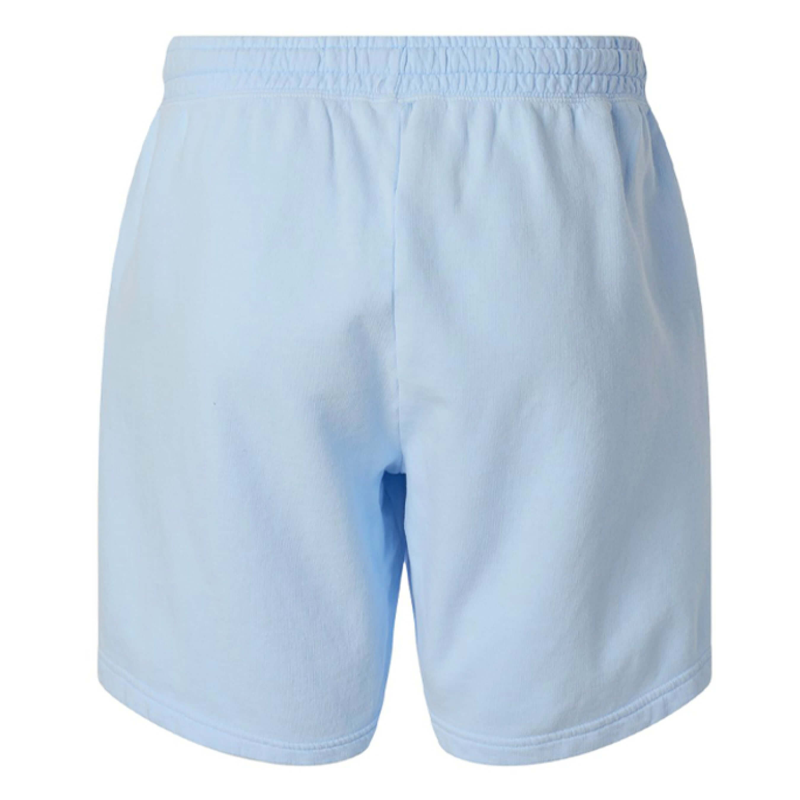 Back view of STONER SHORTS in light blue color, designed for comfort and breathability.